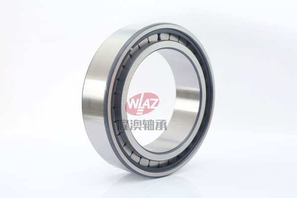 滿裝滾子SL1830系列